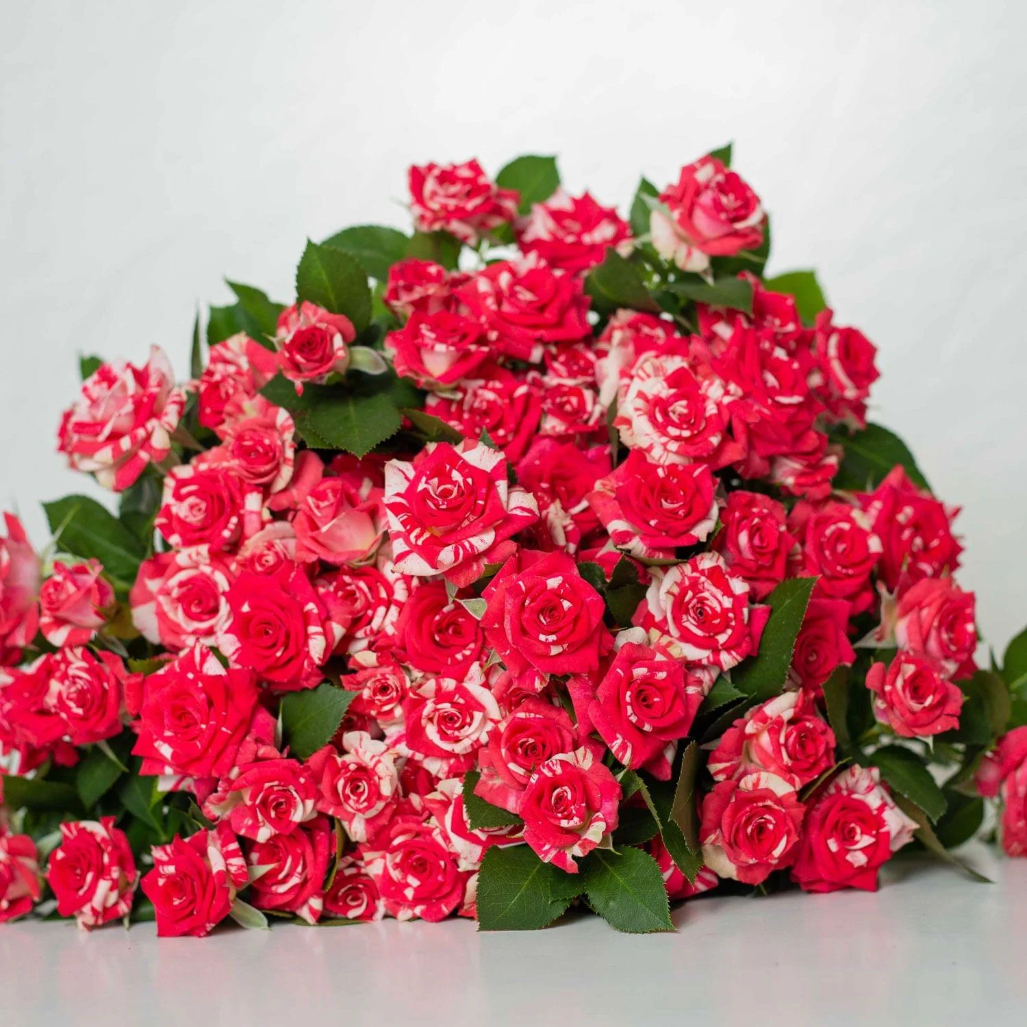 Spray Roses