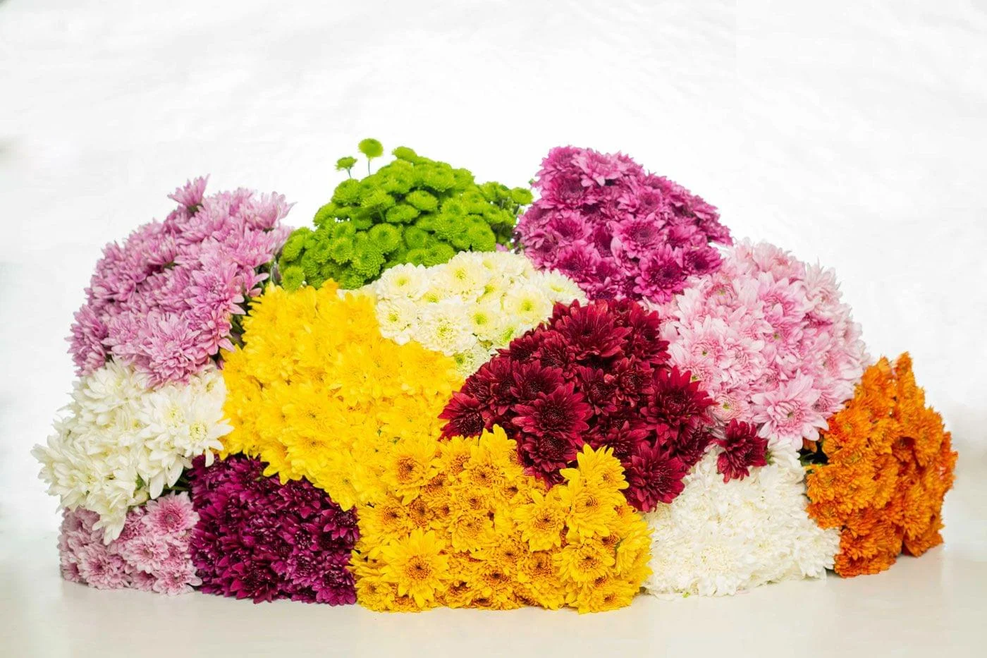 Summer Flowers
